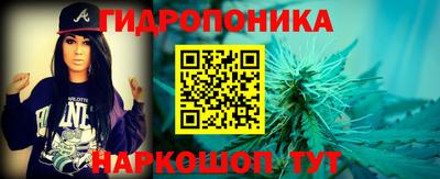 индика Гатчина