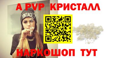 индика Гатчина