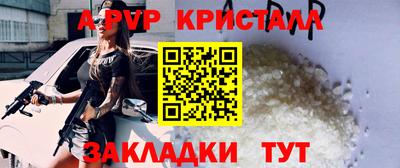 индика Гатчина