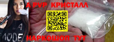 индика Гатчина