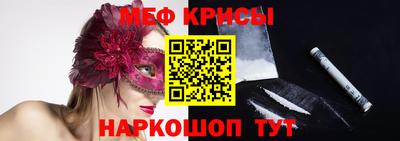 индика Гатчина