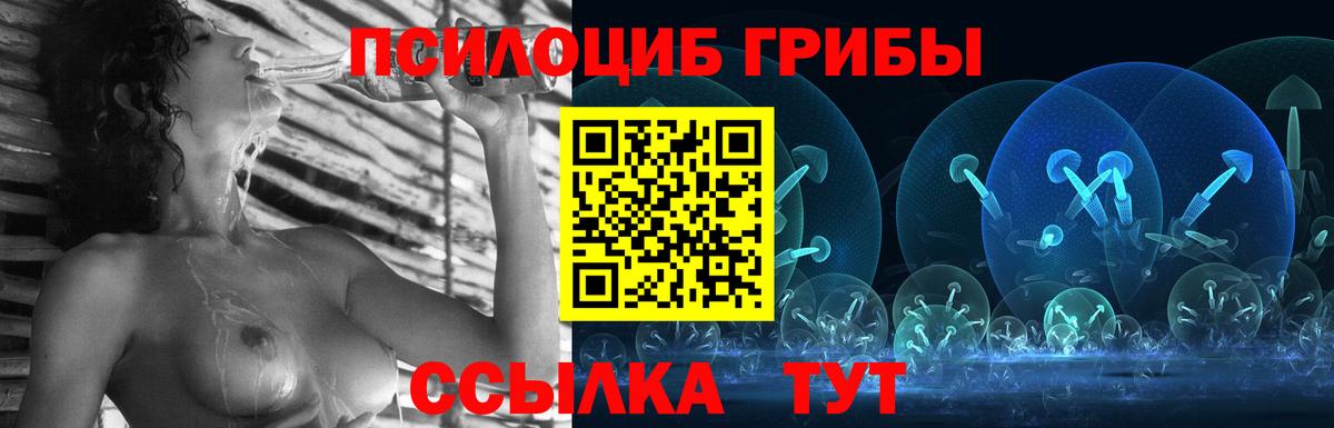 Курчатов  Псилоцибиновые грибы GOLDEN TEACHER  цена наркотик  Вход с VPN 